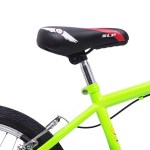 Bicicleta SIAMBRETTA Rodado 20 Freestyle Color Verde FLUO 10196