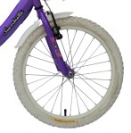 Bicicleta Dama Rodado 20 Lila SIAMBRETTA