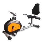 Bicicleta Horizontal Recumbent Ranbak 201 C/respaldo C/Disco 4 Kg