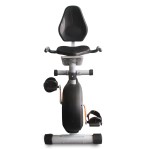 Bicicleta Horizontal Recumbent Ranbak 201 C/respaldo C/Disco 4 Kg