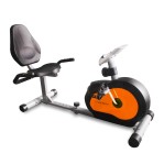 Bicicleta Horizontal Recumbent Ranbak 201 C/respaldo C/Disco 4 Kg