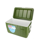 Conservadora Coleman Beach 48qt 63 Latas 45,4 lts Verde