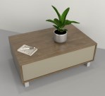 CENTRO LIVING C/CAJ 2021-CNG TABLES