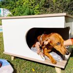 Cama para mascotas Ámbar Blanco y Báltico Incluye Colchon