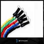 Kit Entrenamiento Fitness 5 Bandas Elásticas 9 Piezas Bynox